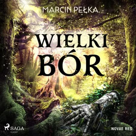 Wielki Bór af Marcin Pełka