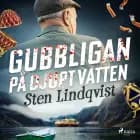 Gubbligan på djupt vatten af Sten Lindqvist