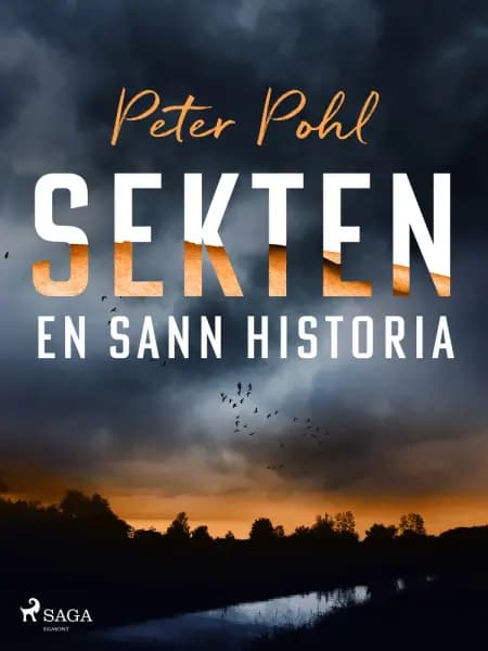 Sekten: en sann historia af Peter Pohl