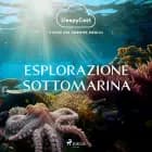 SleepyCast. Storie per dormire meglio 2.13 af Octo P.