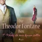 Die Theodor-Fontane-Box - 7 Werke die man kennen sollte af Theodor Fontane