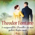 Theodor Fontane - 3 ausgewählte Novellen, die man gehört haben muss af Theodor Fontane