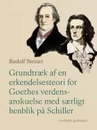 Grundtræk af en erkendelsesteori for Goethes verdensanskuelse med særligt henblik på Schiller af Rudolf Steiner
