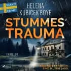 Stummes Trauma af Helena Kubicek Boye