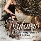 Nylons: Erziehung eines Diebes - Erotische Phantasien af Nora Schwarz