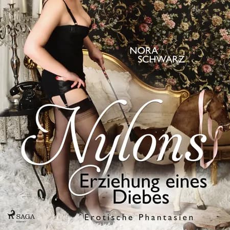Nylons: Erziehung eines Diebes - Erotische Phantasien af Nora Schwarz