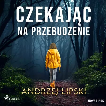 Czekając na przebudzenie af Andrzej Lipski
