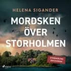 Mordsken över Storholmen af Helena Sigander