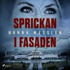 Sprickan i fasaden af Hanna Wesslén