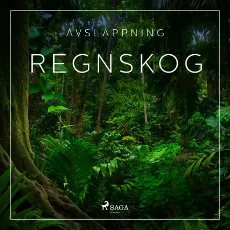 Avslappning - Regnskog af Rasmus Broe
