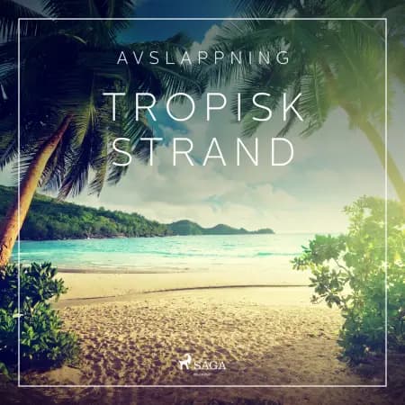 Avslappning - Tropisk strand af Rasmus Broe