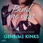 Bind me vast: Erotische korte verhalen over geheime kinks af Cecilie Rosdahl, Alexandra Södergran og Reiner Larsen Wiese