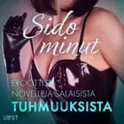 Sido minut: Eroottisia novelleja salaisista tuhmuuksista af LUST authors