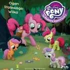 My Little Pony - Tajemnice Ponyville 2 - Ogon Stalowego Wilka af Hasbro France SAS