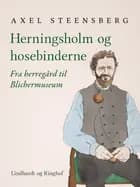 Herningsholm og hosebinderne af Axel Steensberg