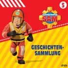 Feuerwehrmann Sam - Geschichtensammlung 5 af Mattel