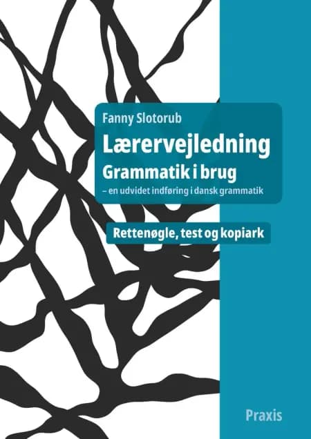 Lærervejledning Grammatik i brug af Fanny Slotorub