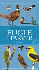 Fugle i farver inkl. cd af Tommy Dybbro