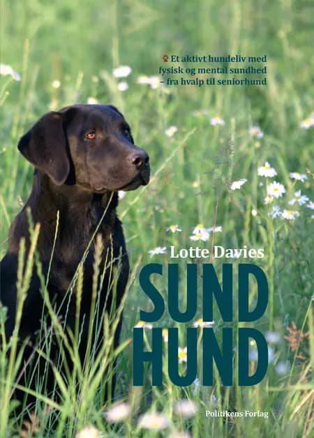 Sund hund af Lotte Davies