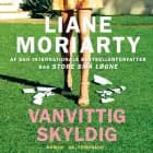 Vanvittig skyldig af Liane Moriarty