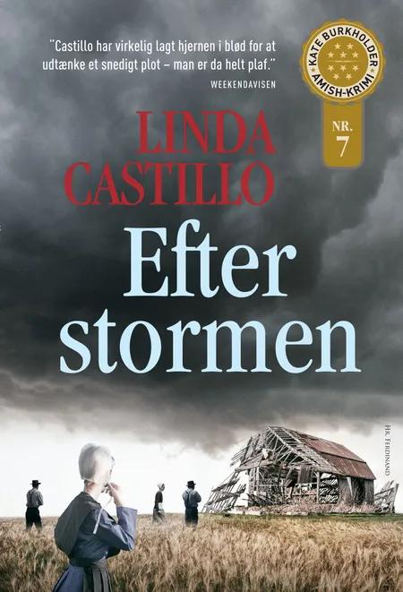Efter stormen af Linda Castillo