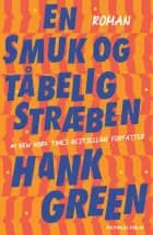 En smuk og tåbelig stræben af Hank Green