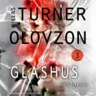 Glashus af Niklas Turner Olovzon