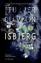 Isbjerg af Niklas Turner Olovzon