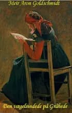 Den vægelsindede på Gråhede af Meïr Aron Goldschmidt