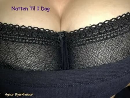 Natten til i dag af Agnar Bjarkhamar