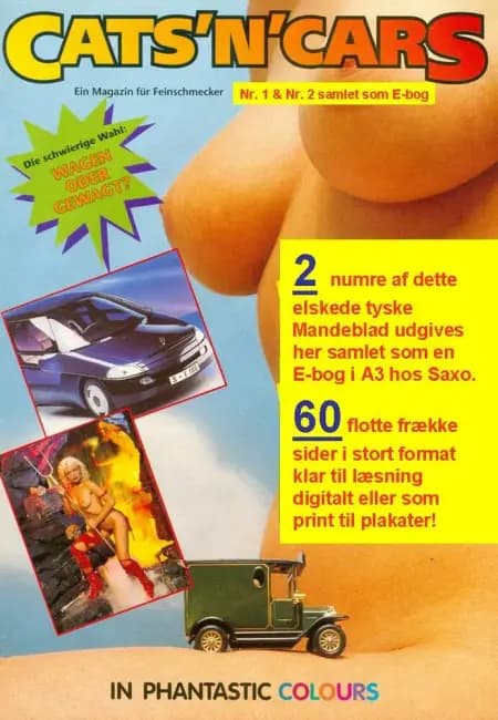 CATS N CARS af Bjarne Castella