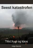 Seest katastrofen af Helge Kjerside