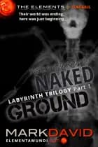 Labyrinth 1: Naked Ground af Mark David