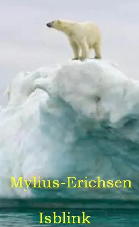 Isblink af Ludvig Mylius-Erichsen
