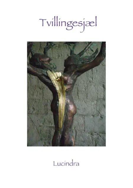 Tvillingesjæl af Lucindra Light
