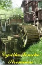 Strømmen af Gyrithe Lemche