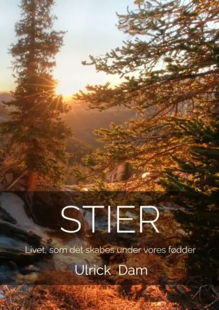 STIER af Ulrick Dam