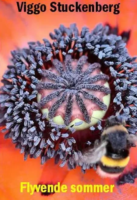 Flyvende sommer af Viggo Stuckenberg