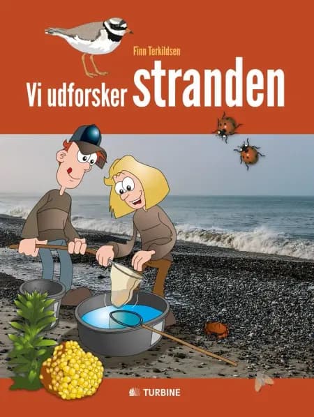 Vi udforsker stranden af Finn Terkildsen