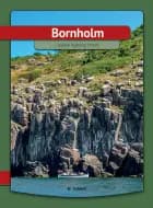 Bornholm af Lisette Agerbo Holm