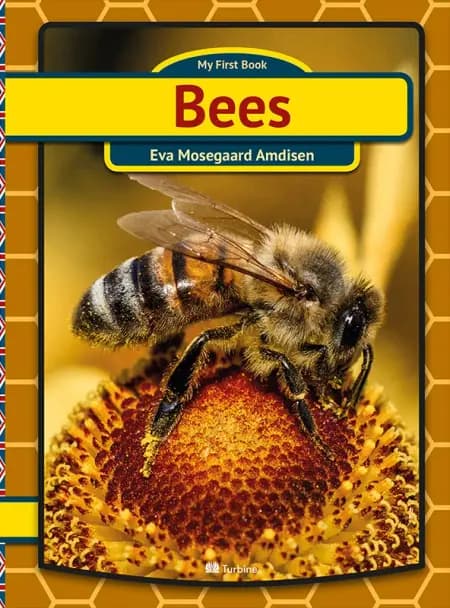 Bees af Eva Mosegaard Amdisen
