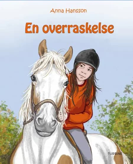 En overraskelse af Anna Hansson