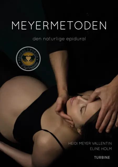 Meyermetoden af Heidi Meyer Vallentin