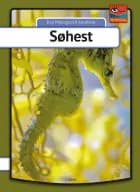 Søhest af Eva Mosegaard Amdisen