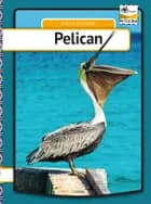Pelican af Henrik Enemark
