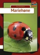 Mariehøne af Per Østergaard