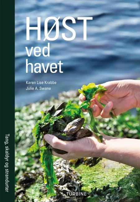 Høst ved havet af Karen Lise Krabbe
