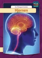 Hjernen af Eva Mosegaard Amdisen