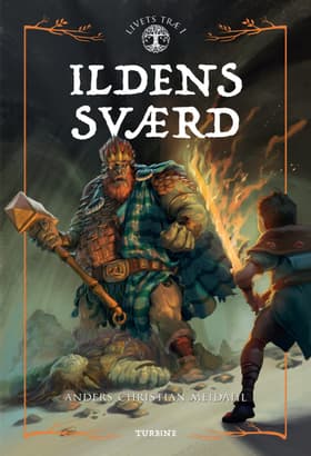Ildens Sværd af Anders Christian Meidahl