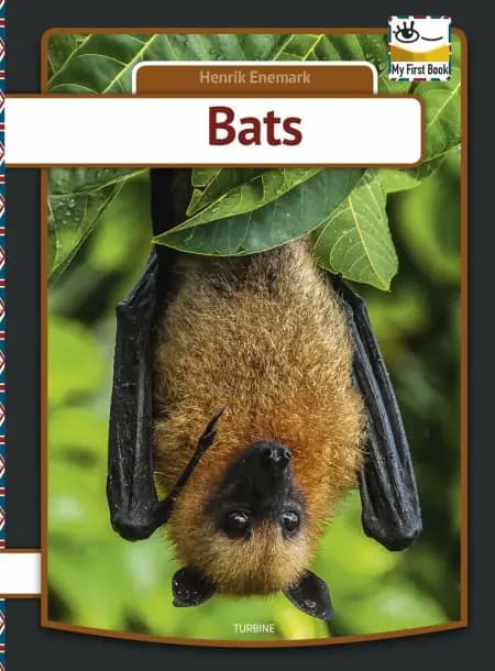 Bats af Henrik Enemark